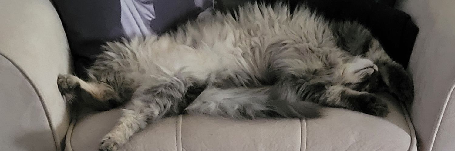 Paprbakryder's profile banner image