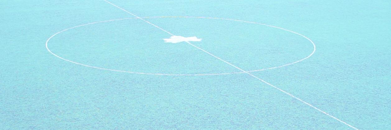Theo Vass banner