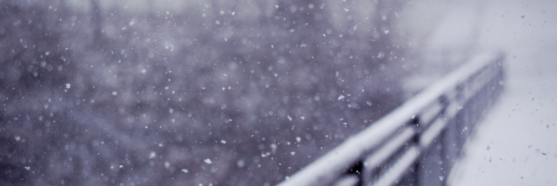 rainwinterday's profile banner image
