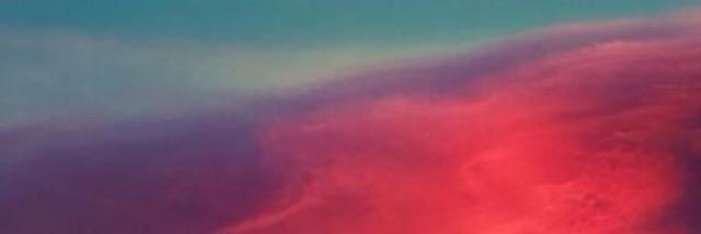 sofiakleist's profile banner image