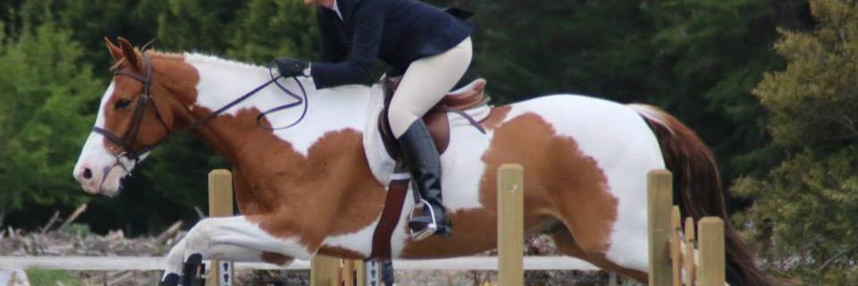 KateMullins10's profile banner image