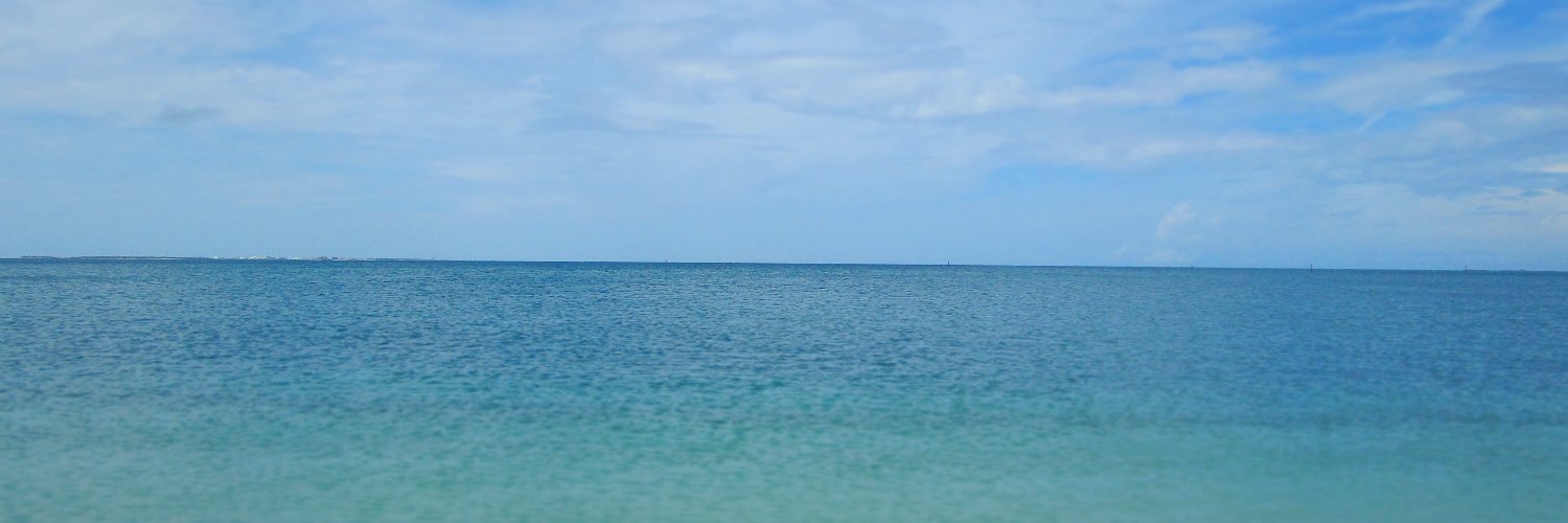 hakuto_drrr's profile banner image