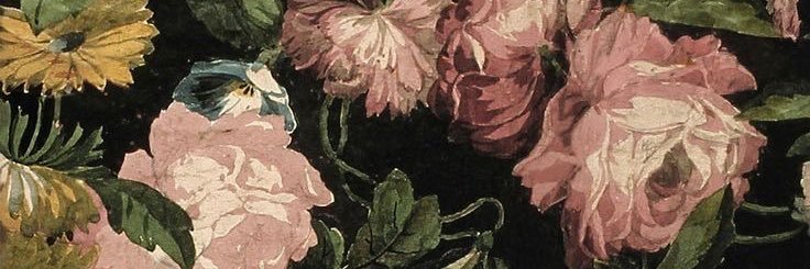 Chrysanthemum🌱 banner