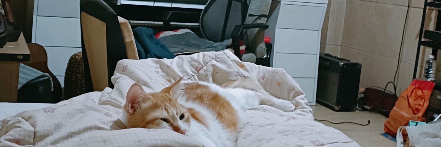 lazulio's profile banner image