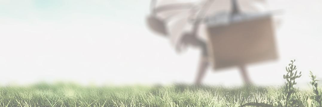 Specterying's banner
