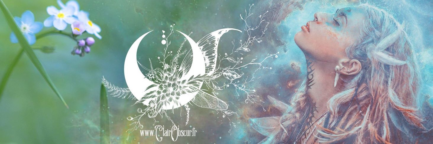 clair0bscur's profile banner image