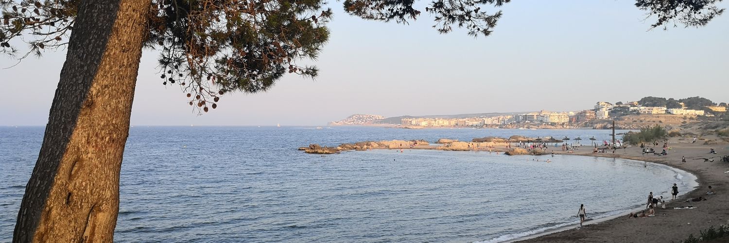 Marc Pascual Girmé banner