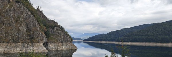 Qermitos Profile Banner