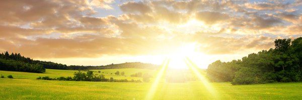 W0r1d_P3ac3 Profile Banner