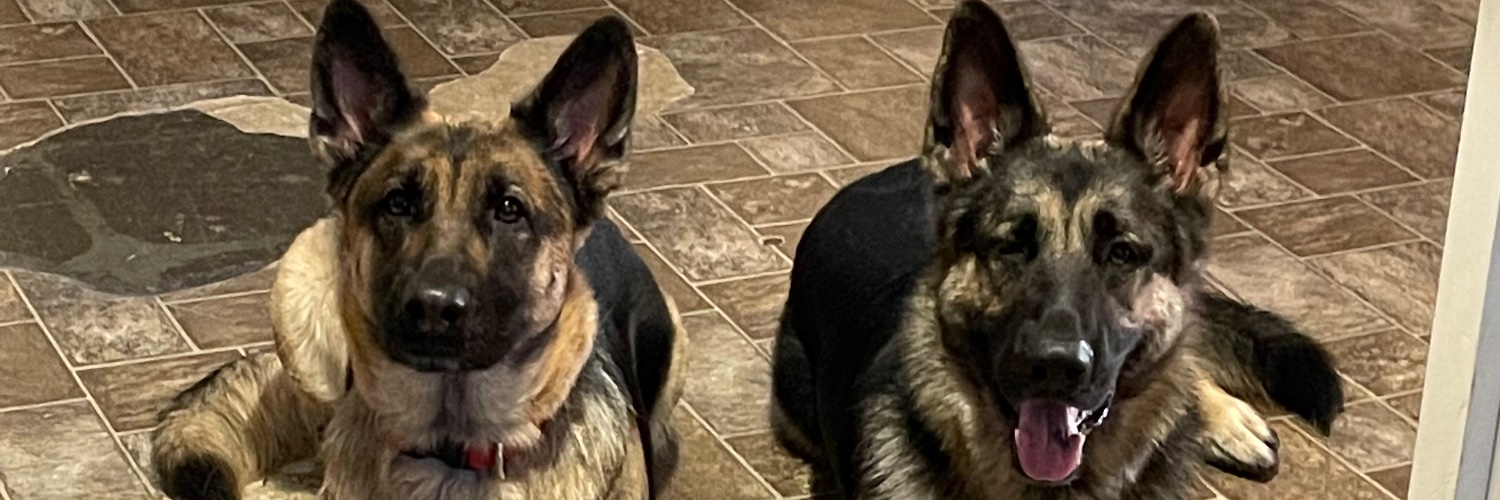 Corbo_53's profile banner image