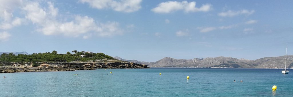 Stefan Engler banner