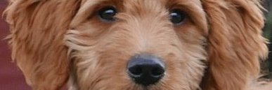 Pekka Kuusinen banner