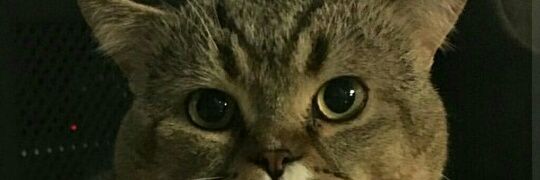 Milamw5's profile banner image