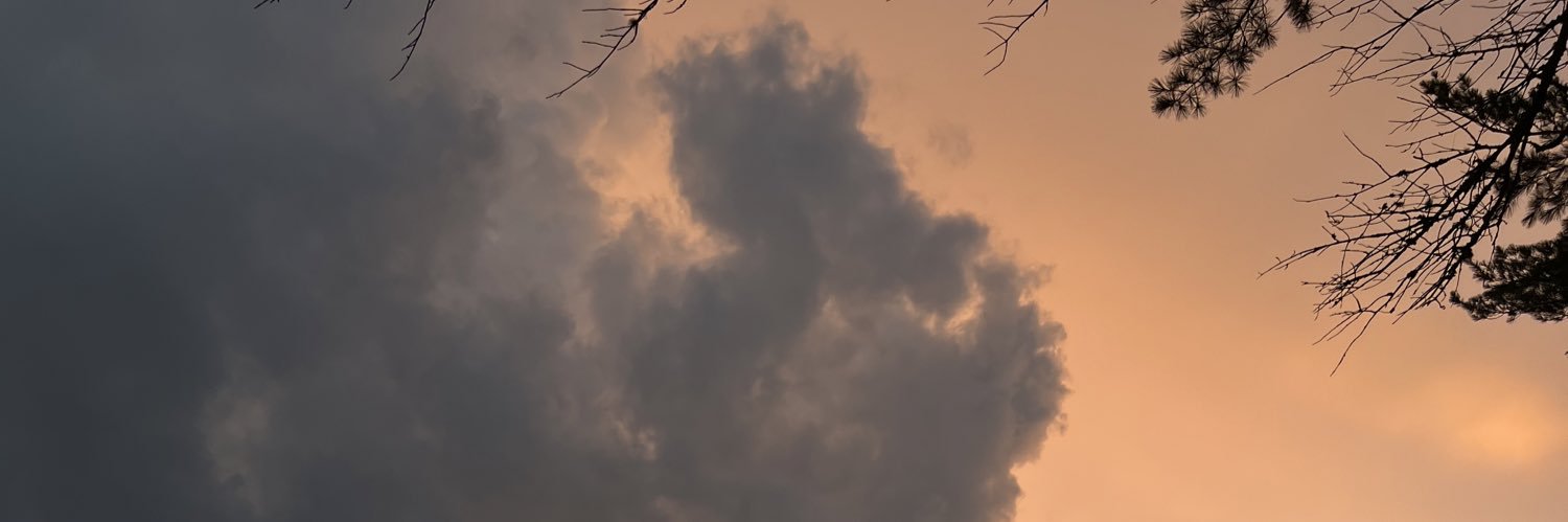 _audreymetz_'s profile banner image