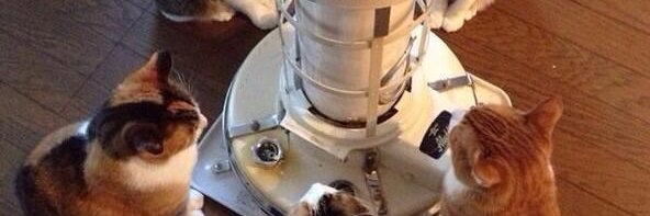 瀬戸内海アマ（反貧困反改憲反独裁） banner