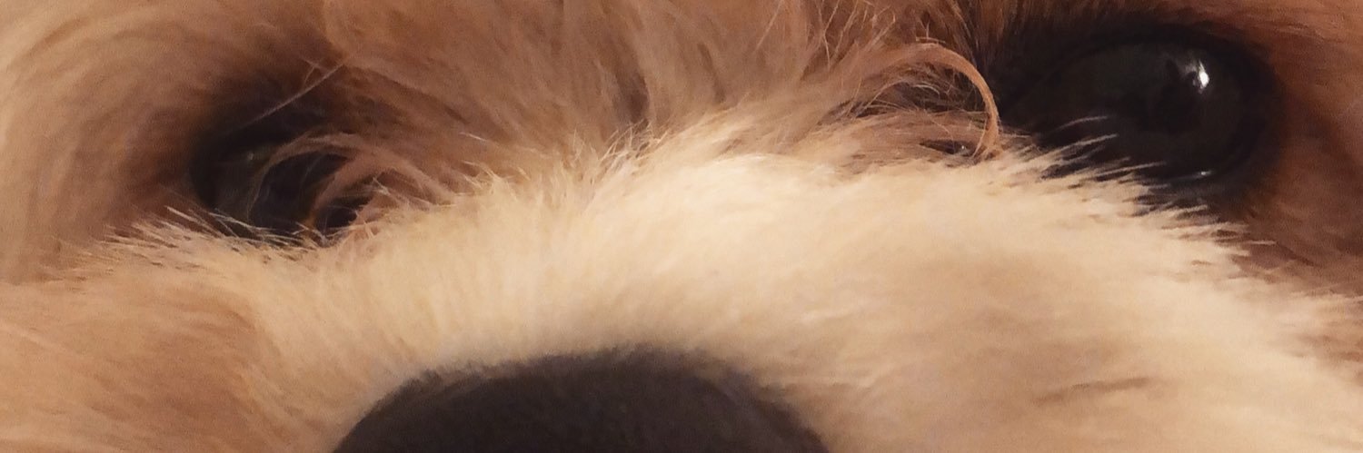 StacieBurt's profile banner image