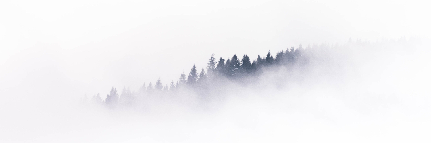 coreywilson's profile banner image