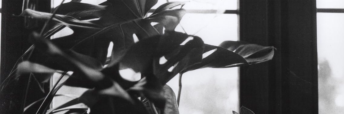 sam_mora97's profile banner image