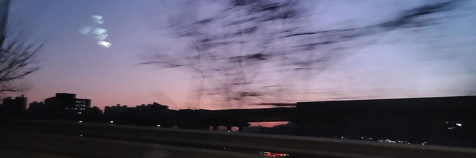 Elisa875_'s profile banner image