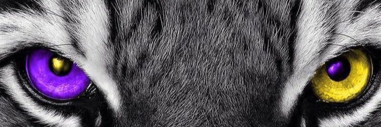 goddesstarah09's profile banner image
