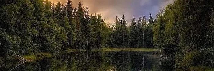 AruujOz's profile banner image