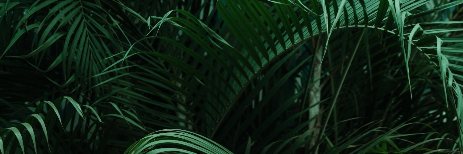 🪴FERN🪴's banner
