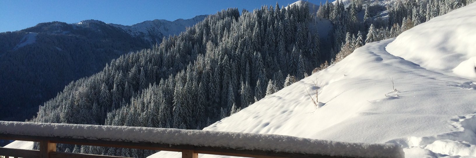 Olivier Colcombet banner