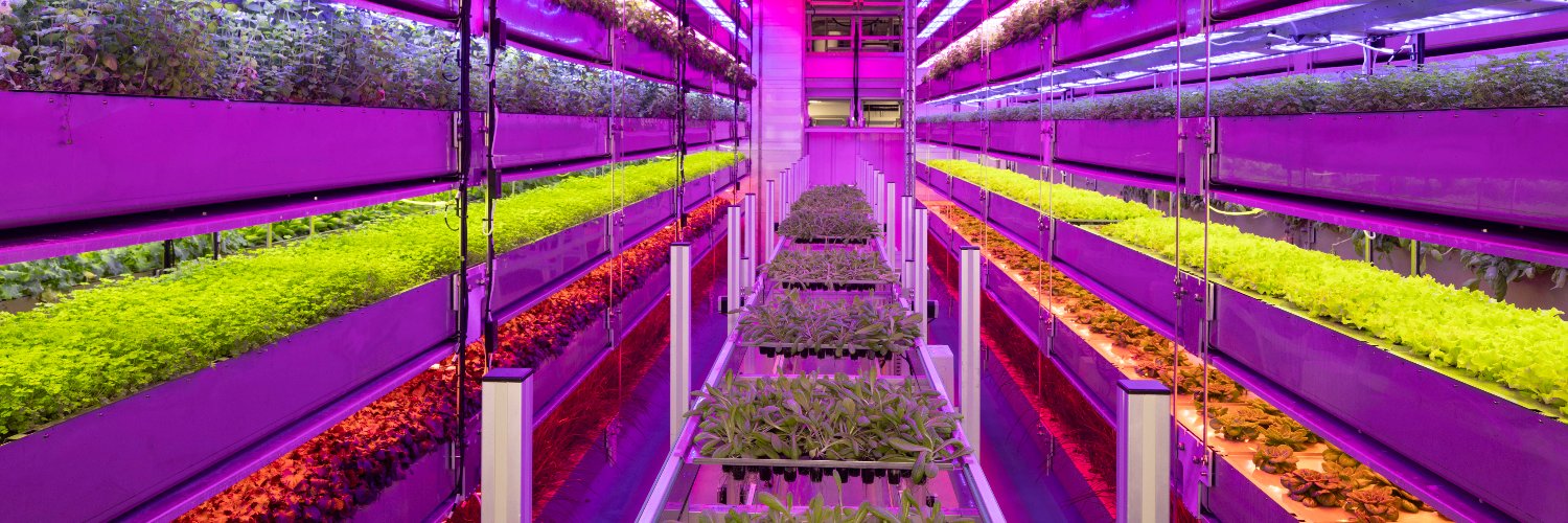 Vertical Future banner