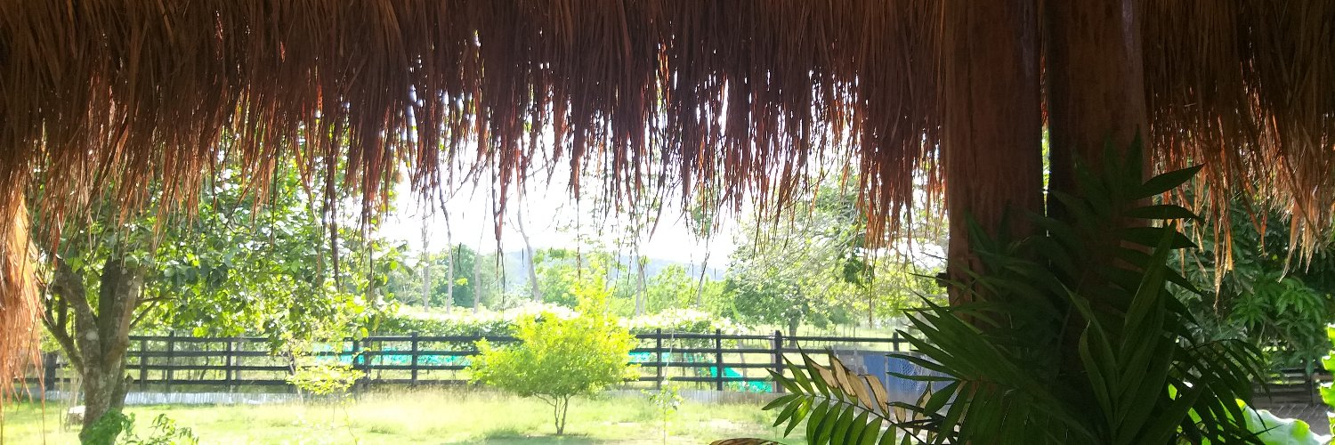 claucorker's profile banner image