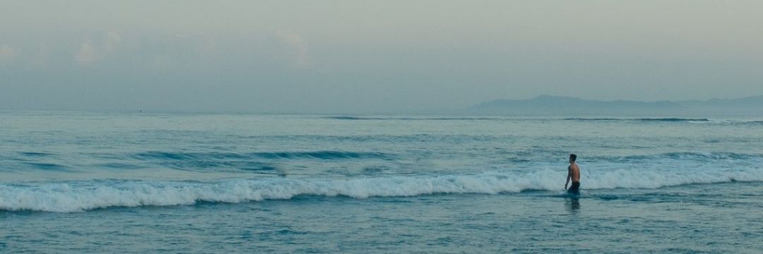 annman :› banner