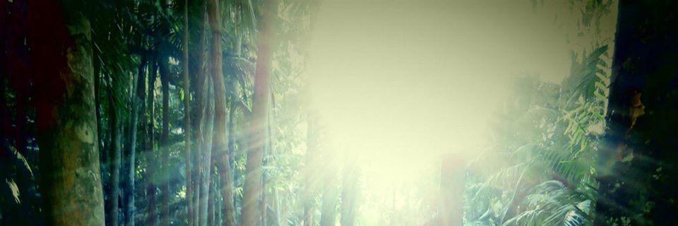 lamb_martin's profile banner image