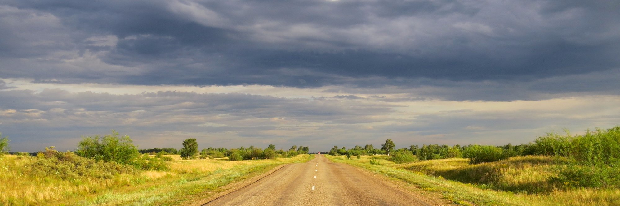 Алексей Копытов banner