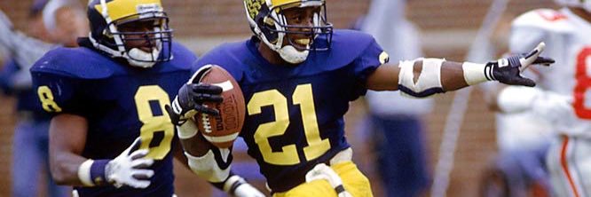 michigan mitch banner