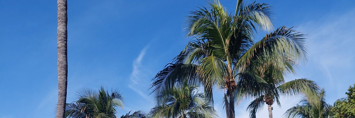 ncorreag's profile banner image