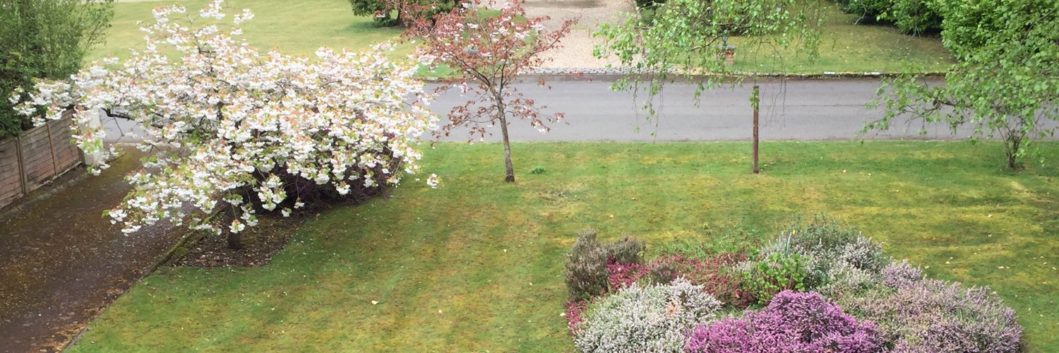 JeanneCribb's profile banner image