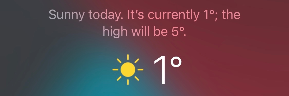 Rhys Williamson banner