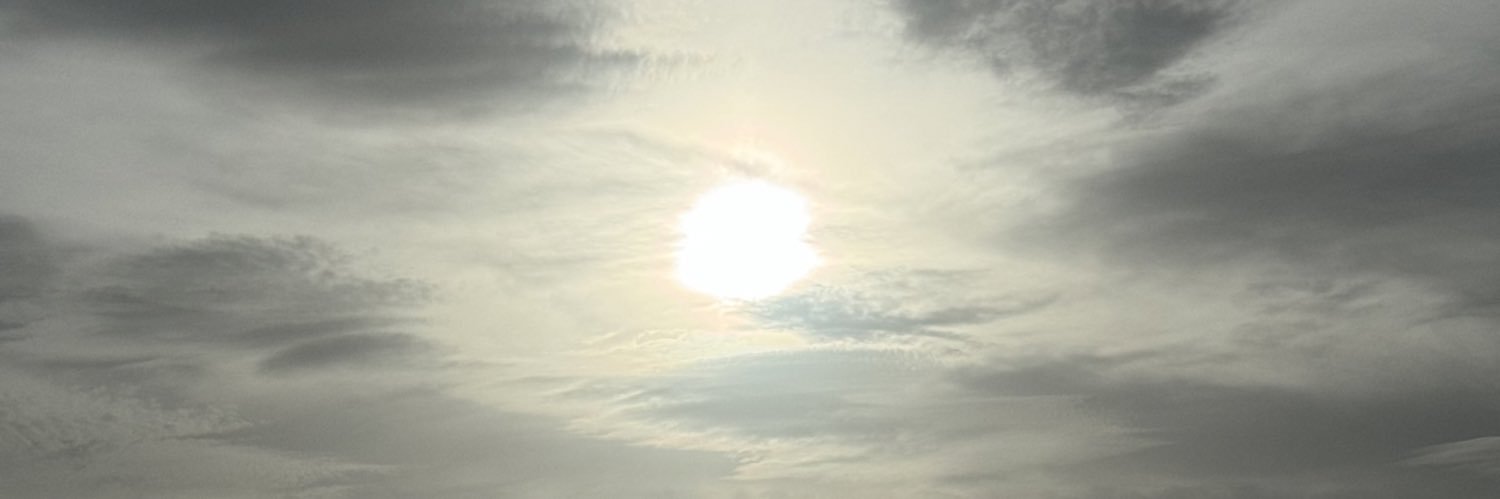 gracewhipper's profile banner image