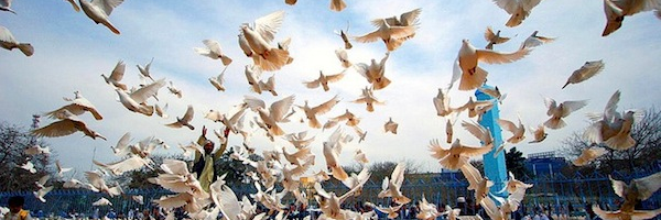 af_zikria's profile banner image