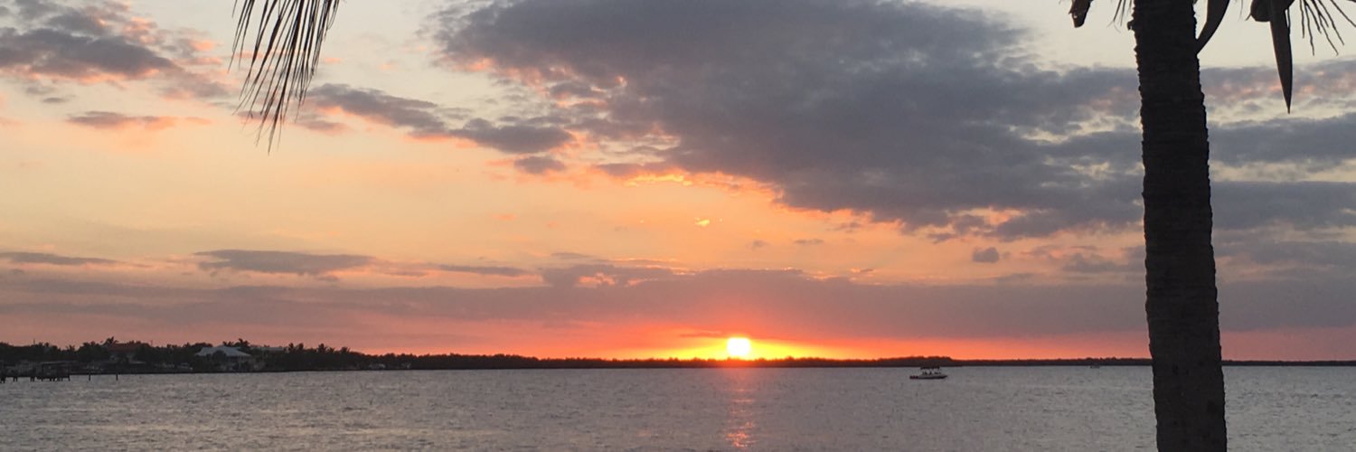 cindymhoward's profile banner image