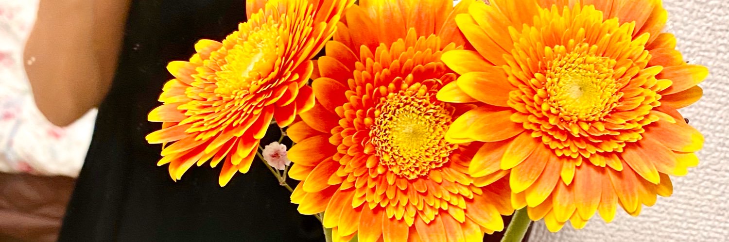 Junkochan's profile banner image