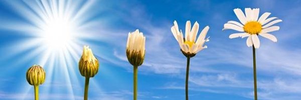 PsychDPCDSB Profile Banner