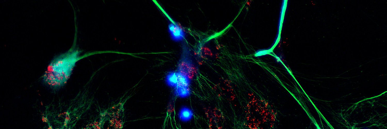 Rainer Kaiser banner