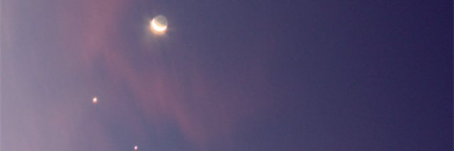 LaurJaureguiFL's profile banner image