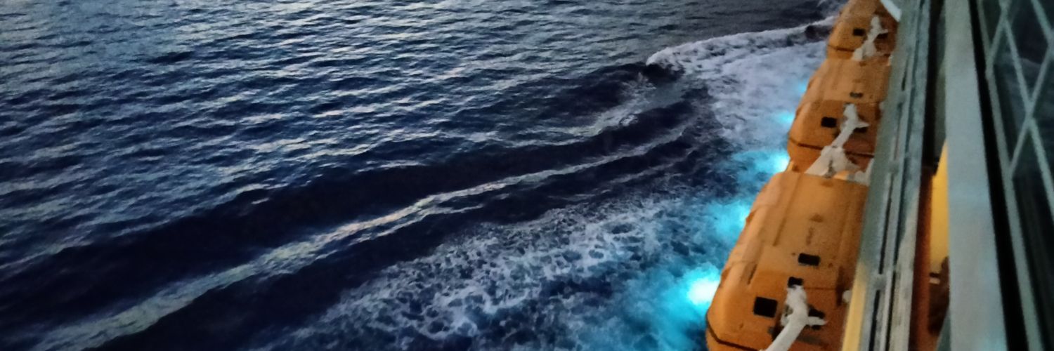 EnbyShenanigans's profile banner image
