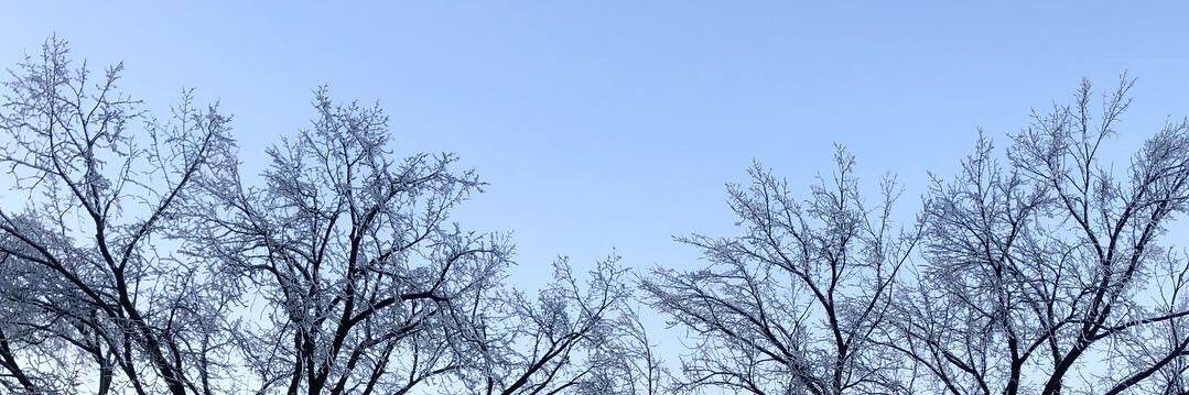 thildou_m's profile banner image