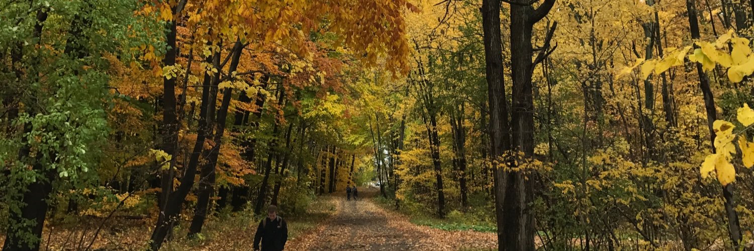 mxnavid's profile banner image