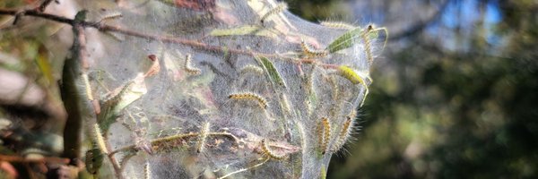 UGASREL Profile Banner