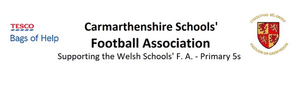 Carmarthenshire SFA Profile Banner