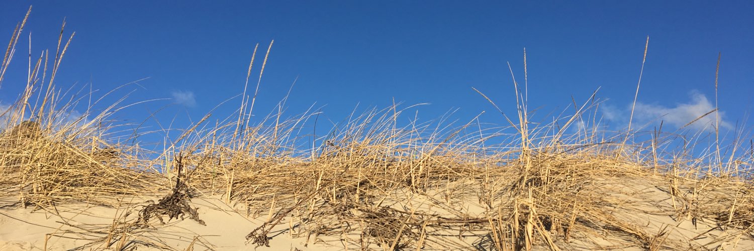 Matthias Beste 🛵 banner