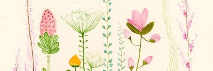 zianova's profile banner image